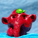 Elephant and the turtle